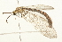  ( - 09BBNEU-0011)  @13 [ ] CreativeCommons - Attribution (2009) Unspecified Centre for Biodiversity Genomics