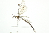  ( - 10BBNEU-0008)  @14 [ ] CreativeCommons - Attribution (2010) CBG Photography Group Centre for Biodiversity Genomics
