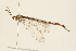  ( - 09BBNEU-0050)  @13 [ ] CreativeCommons - Attribution (2009) Unspecified Centre for Biodiversity Genomics