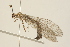  ( - 09BBNEU-0056)  @13 [ ] CreativeCommons - Attribution (2009) Unspecified Centre for Biodiversity Genomics