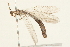  ( - 09BBNEU-0111)  @13 [ ] CreativeCommons - Attribution (2009) Unspecified Centre for Biodiversity Genomics