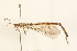  ( - 09BBNEU-0124)  @13 [ ] CreativeCommons - Attribution (2009) Unspecified Centre for Biodiversity Genomics