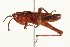  ( - BIOUG00738-G05)  @14 [ ] CreativeCommons - Attribution (2011) CBG Photography Group Centre for Biodiversity Genomics