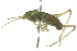  ( - BIOUG00739-B06)  @14 [ ] CreativeCommons - Attribution (2011) CBG Photography Group Centre for Biodiversity Genomics