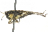  ( - BIOUG00739-H02)  @14 [ ] CreativeCommons - Attribution (2011) CBG Photography Group Centre for Biodiversity Genomics