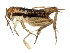  ( - BIOUG00916-G06)  @14 [ ] CreativeCommons - Attribution (2011) CBG Photography Group Centre for Biodiversity Genomics