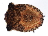  ( - 09BBEHE-142)  @14 [ ] CreativeCommons - Attribution (2009) Unspecified Centre for Biodiversity Genomics