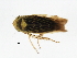  ( - 09BBEHE-180)  @11 [ ] CreativeCommons - Attribution (2009) Unspecified Centre for Biodiversity Genomics