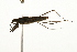  ( - 09BBEHE-315)  @11 [ ] CreativeCommons - Attribution (2010) CBG Photography Group Centre for Biodiversity Genomics
