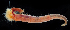  ( - 2856_DNA)  @11 [ ] CreativeCommons  Attribution Non-Commercial Share-Alike (2019) Gustav Paulay Florida Museum of Natural History