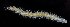 ( - 2945_DNA)  @11 [ ] CreativeCommons  Attribution Non-Commercial Share-Alike (2019) Gustav Paulay Florida Museum of Natural History