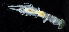  ( - 2973_DNA)  @11 [ ] CreativeCommons  Attribution Non-Commercial Share-Alike (2019) Gustav Paulay Florida Museum of Natural History