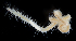  ( - 3079_DNA)  @11 [ ] CreativeCommons  Attribution Non-Commercial Share-Alike (2019) Gustav Paulay Florida Museum of Natural History