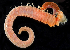  ( - 3355_DNA)  @11 [ ] CreativeCommons  Attribution Non-Commercial Share-Alike (2019) Gustav Paulay Florida Museum of Natural History