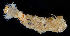  ( - 3411_DNA)  @11 [ ] CreativeCommons  Attribution Non-Commercial Share-Alike (2019) Gustav Paulay Florida Museum of Natural History