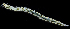  ( - 3417_DNA)  @11 [ ] CreativeCommons  Attribution Non-Commercial Share-Alike (2019) Gustav Paulay Florida Museum of Natural History