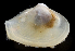  ( - 3537_DNA)  @11 [ ] CreativeCommons  Attribution Non-Commercial Share-Alike (2019) Gustav Paulay Florida Museum of Natural History