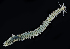  ( - 3779_DNA)  @11 [ ] CreativeCommons  Attribution Non-Commercial Share-Alike (2019) Gustav Paulay Florida Museum of Natural History
