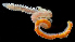  (Aricidea ramosa - 4127_DNA)  @11 [ ] CreativeCommons  Attribution Non-Commercial Share-Alike (2019) Gustav Paulay Florida Museum of Natural History