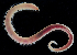  ( - 4194_DNA)  @11 [ ] CreativeCommons  Attribution Non-Commercial Share-Alike (2019) Gustav Paulay Florida Museum of Natural History