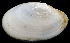  ( - 4254_DNA)  @11 [ ] CreativeCommons  Attribution Non-Commercial Share-Alike (2019) Gustav Paulay Florida Museum of Natural History
