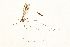  ( - 09BBTEC-057)  @12 [ ] CreativeCommons - Attribution (2010) Unspecified Centre for Biodiversity Genomics