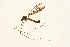  ( - 09BBTEC-068)  @13 [ ] CreativeCommons - Attribution (2010) Unspecified Centre for Biodiversity Genomics
