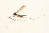  ( - 09BBTEC-073)  @13 [ ] CreativeCommons - Attribution (2010) Unspecified Centre for Biodiversity Genomics