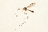  ( - 09BBTEC-074)  @13 [ ] CreativeCommons - Attribution (2010) Unspecified Centre for Biodiversity Genomics