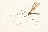  ( - 09BBTEC-132)  @13 [ ] CreativeCommons - Attribution (2010) Unspecified Centre for Biodiversity Genomics