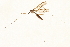  ( - 09BBTEC-040)  @13 [ ] CreativeCommons - Attribution (2010) Unspecified Centre for Biodiversity Genomics