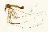  ( - 08BBTIP-013)  @13 [ ] CreativeCommons - Attribution (2009) Unspecified Centre for Biodiversity Genomics