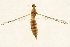  ( - 08BBTIP-027)  @13 [ ] CreativeCommons - Attribution (2009) Unspecified Centre for Biodiversity Genomics
