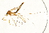  ( - 08BBTIP-028)  @12 [ ] CreativeCommons - Attribution (2009) Unspecified Centre for Biodiversity Genomics