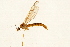  ( - 08BBTIP-033)  @13 [ ] CreativeCommons - Attribution (2009) Unspecified Centre for Biodiversity Genomics