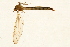  ( - 08BBTIP-056)  @12 [ ] CreativeCommons - Attribution (2009) Unspecified Centre for Biodiversity Genomics