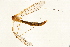  ( - 08BBTIP-065)  @12 [ ] CreativeCommons - Attribution (2009) Unspecified Centre for Biodiversity Genomics