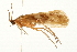  ( - 09BBTUS-125)  @13 [ ] CreativeCommons - Attribution (2010) Unspecified Centre for Biodiversity Genomics