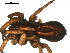  ( - BBUSA10-01-A05)  @12 [ ] CreativeCommons - Attribution (2010) Gergin Blagoev, Centre for Biodiversity Genomics Centre for Biodiversity Genomics