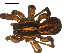  ( - BBUSA10-01-B02)  @12 [ ] CreativeCommons - Attribution (2010) Gergin Blagoev, Centre for Biodiversity Genomics Centre for Biodiversity Genomics