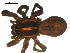 ( - BBUSA10-01-E01)  @12 [ ] CreativeCommons - Attribution (2010) Gergin Blagoev, Centre for Biodiversity Genomics Centre for Biodiversity Genomics
