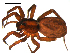  ( - BBUSA10-02-B03)  @13 [ ] CreativeCommons - Attribution (2010) Gergin Blagoev, Centre for Biodiversity Genomics Centre for Biodiversity Genomics