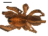  ( - BBUSA10-03-A02)  @12 [ ] CreativeCommons - Attribution (2010) Gergin Blagoev, Centre for Biodiversity Genomics Centre for Biodiversity Genomics