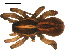 ( - BBUSA10-03-B04)  @12 [ ] CreativeCommons - Attribution (2010) Gergin Blagoev, Centre for Biodiversity Genomics Centre for Biodiversity Genomics