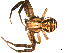 ( - BBUSA10-04-B06)  @12 [ ] CreativeCommons - Attribution (2010) Gergin Blagoev, Centre for Biodiversity Genomics Centre for Biodiversity Genomics