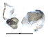  ( - CCDB-08467-B10)  @12 [ ] CreativeCommons - Attribution  Gergin Blagoev, Centre for Biodiversity Genomics Unspecified