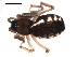  ( - CCDB-08467-C05)  @12 [ ] CreativeCommons - Attribution  Gergin Blagoev, Centre for Biodiversity Genomics Unspecified