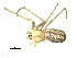  ( - CCDB-08467-C10)  @12 [ ] CreativeCommons - Attribution  Gergin Blagoev, Centre for Biodiversity Genomics Unspecified