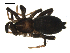  ( - CCDB-08467-G10)  @12 [ ] CreativeCommons - Attribution  Gergin Blagoev, Centre for Biodiversity Genomics Unspecified