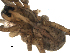  ( - CCDB-08489-B08)  @12 [ ] Copyright  G. Blagoev 2010 Unspecified